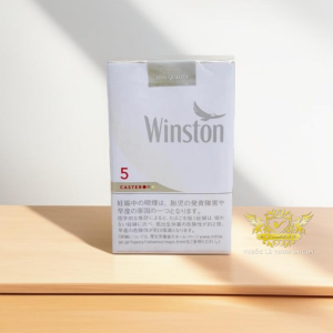 Winston Caster 5 Soft Box
